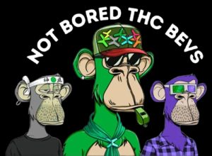 Not Bored Bevs at Hemp Beverage Expo